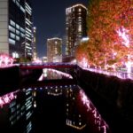 目黒川の桜2019屋台の場所・ライトアップ・レストラン情報を紹介！