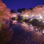 茂原桜まつり2019ライトアップ、見頃、日程、イベント情報を紹介！